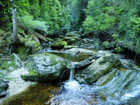 Tarkine Wilderness Experience At Corinna - Tourism Caloundra 0