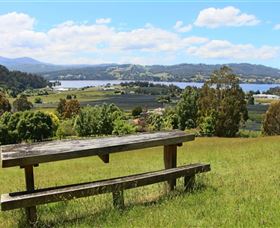 Camellia Cottage On Maple Hill - Tourism Caloundra 3