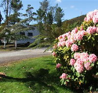 Zeehan Bush Camp  and Caravan Park - Tourism Caloundra