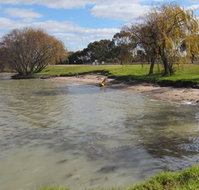 Kangaroo Lake Caravan Park - Tourism Caloundra