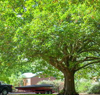 Lakes and Craters Holiday Park - Tourism Caloundra