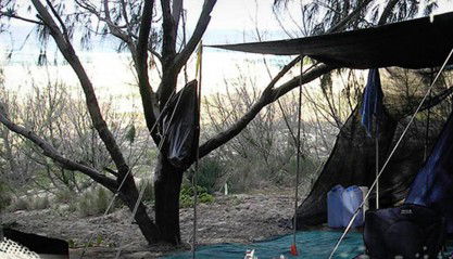 Main Beach Foreshore Camping Grounds - Tourism Caloundra 0