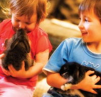 Macka's Farm - Tourism Caloundra