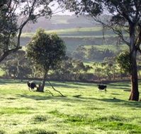 Bellevue Farmstay - Tourism Caloundra