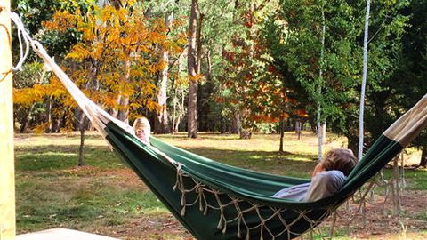 Schusters Lodge - Tourism Caloundra 5