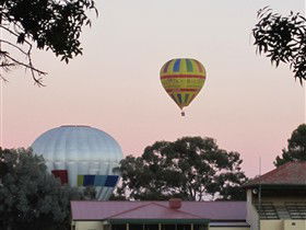 Barossa Valley Tourist Park - Tourism Caloundra 0