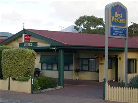 Bray SA Tourism Caloundra