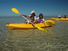 Ceduna Shelly Beach Caravan Park And Beachfront Villas - Tourism Caloundra 3