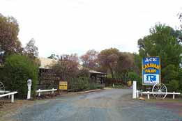 Ace Caravan Park - Tourism Caloundra 0