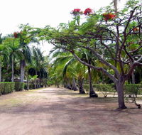 Alva Beach Tourist Park - Tourism Caloundra