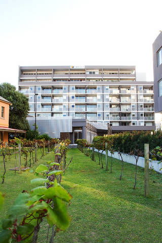 B7 Honeysuckle Apartments - Tourism Caloundra 1