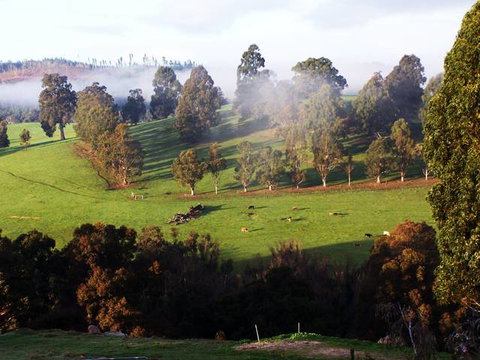 Balingup Vista Chalets - Tourism Caloundra 4