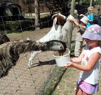 BIG4 Bairnsdale Holiday Park - Tourism Caloundra