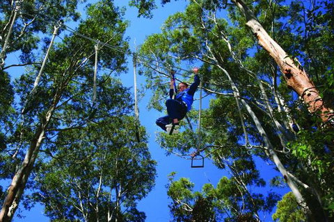 Cedar Creek Lodges At Thunderbird Park™ - Tourism Caloundra 2