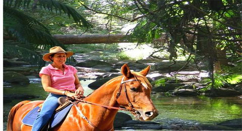 Cedar Creek Lodges At Thunderbird Park™ - Tourism Caloundra 7