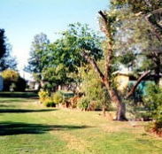 Condamine River Caravan Park - Tourism Caloundra