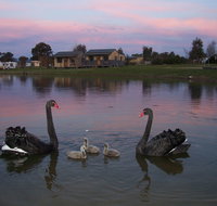 Mansfield Holiday Park - Tourism Caloundra