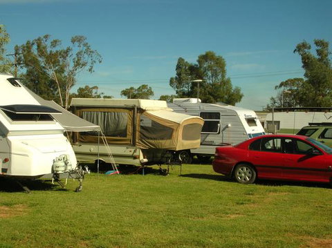 Crocodile Caravan  & Camping Park - Tourism Caloundra 0