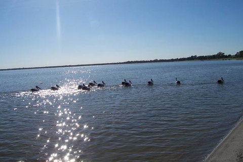 Discovery Holiday Parks - Lake Bonney - Tourism Caloundra 1