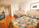 Haven Glebe, Sydney - Tourism Caloundra 3