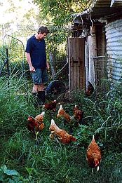 Lagoon Pocket Bed & Breakfast - Tourism Caloundra 1