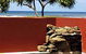 Lennox Holiday Apartments - thumb 4