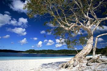 Mercure Kingfisher Bay Resort - Tourism Caloundra 9