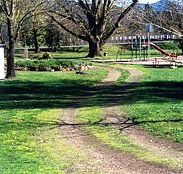 Mongans Bridge Camping Park - Tourism Caloundra