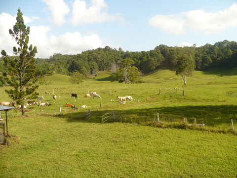 Mooyabil Farm Holidays - Tourism Caloundra 6