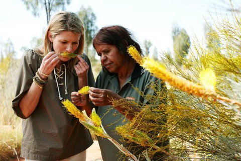 Outback Pioneer Hotel - Tourism Caloundra 6