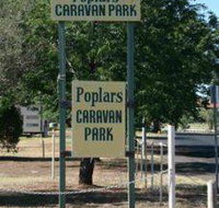 Poplars Caravan Park - Tourism Caloundra