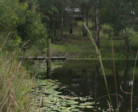 Maleny Country Cottages - Tourism Caloundra 4