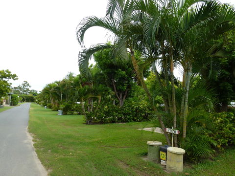 Queens Beach Tourist Village - Tourism Caloundra 6