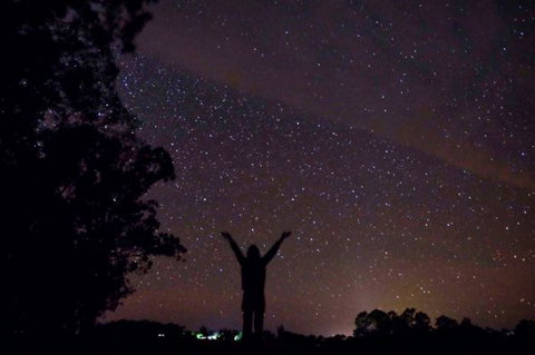 Childers Eco-lodge - Tourism Caloundra 5