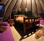 Aranyani Bison Adventure Tourist Park - Tourism Caloundra