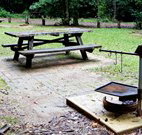 Bellbird campground - Tourism Caloundra