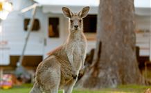 BIG4 Sunshine South West Rocks Holiday Park - South - Tourism Caloundra 3