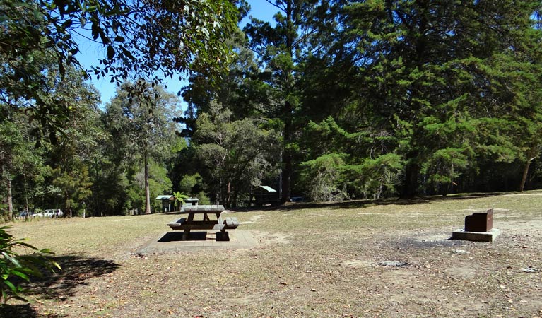 Chowan Creek NSW Tourism Caloundra