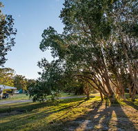 Delicate campground - Tourism Caloundra