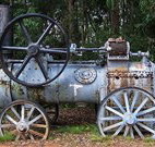 Dingo Tops campground - Tourism Caloundra