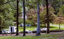 Dingo Tops Campground - Tourism Caloundra 1