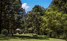 Dingo Tops Campground - Tourism Caloundra 2