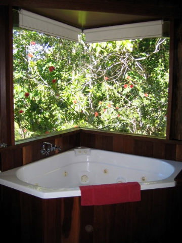 Rose Gums Wilderness Retreat - Tourism Caloundra 3