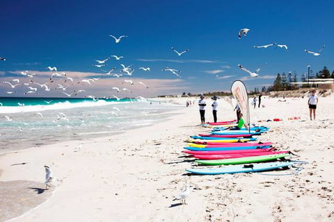 Seashells Scarborough - Tourism Caloundra 6