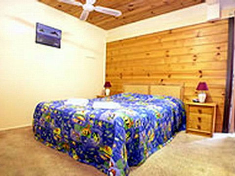 Shelly Beach Cabins - Tourism Caloundra 1
