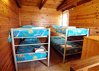Shelly Beach Cabins - Tourism Caloundra 7