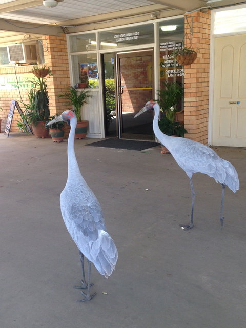 Jumbuck Motel Longreach - Tourism Caloundra 4