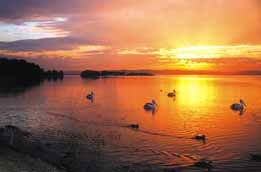 Two Shores Holiday Village - Tourism Caloundra 4
