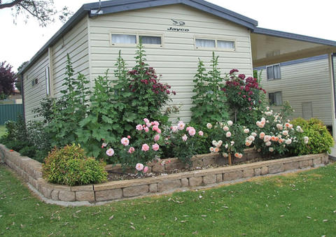Walcha Caravan Park - Tourism Caloundra 3