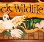 Wave Rock Hotel Motel - Tourism Caloundra